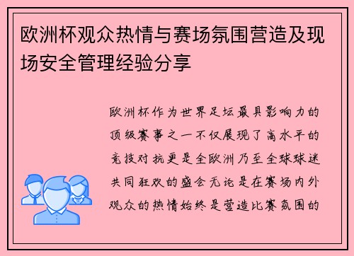 欧洲杯观众热情与赛场氛围营造及现场安全管理经验分享